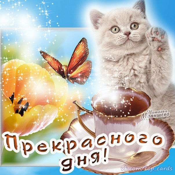 Доброе утро