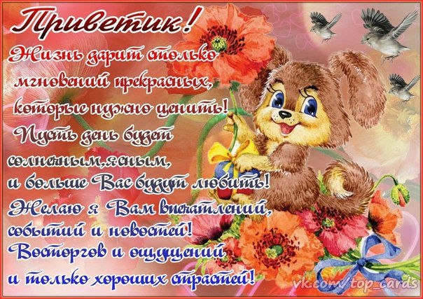 Открытка «Привет» №2389