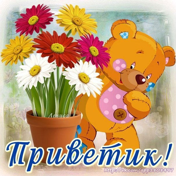 Привет