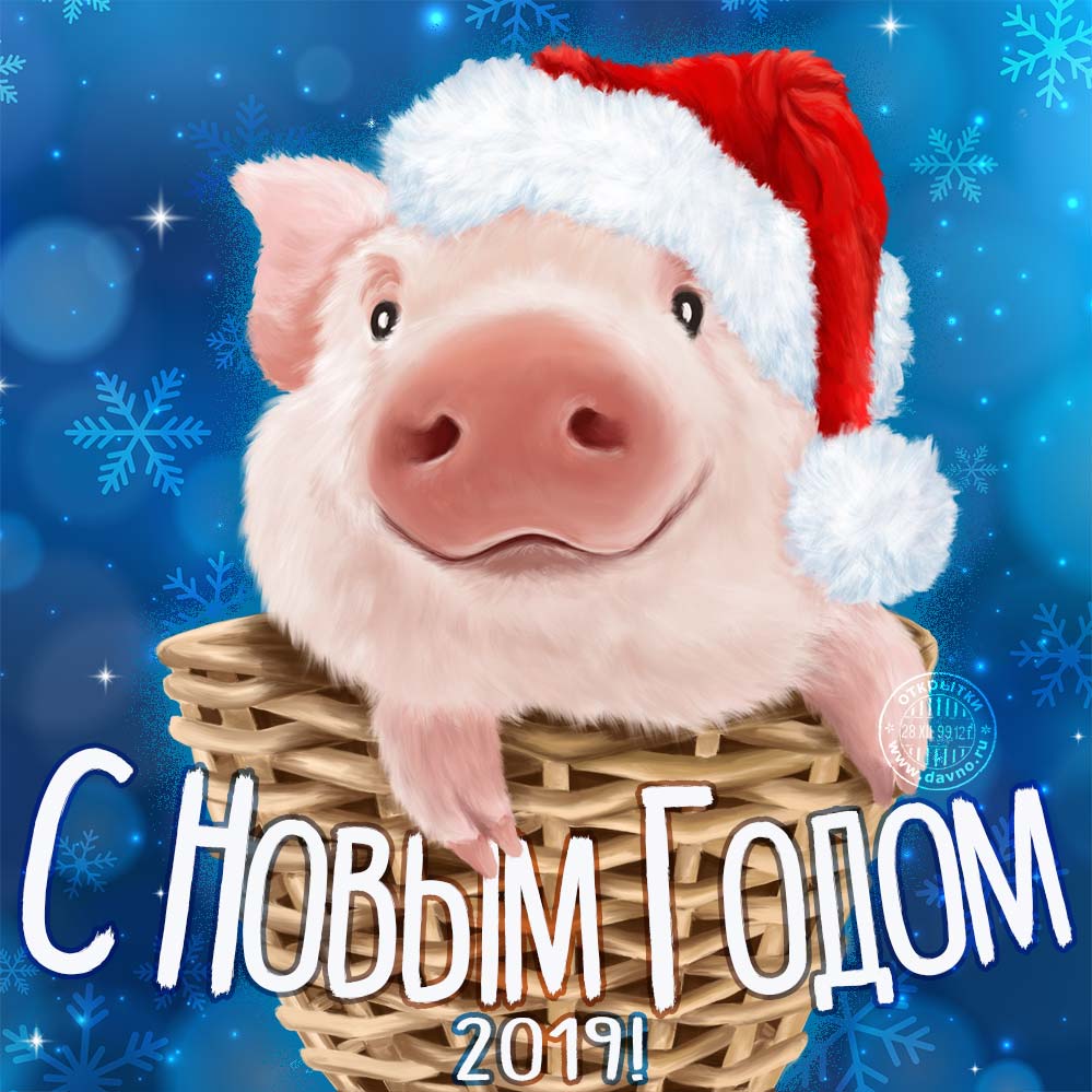 2019