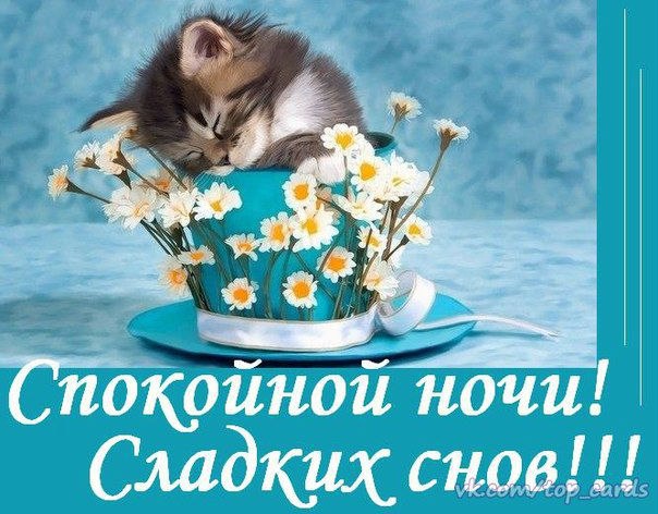 Спокойной ночи
