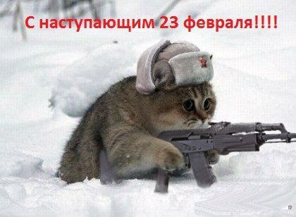 День защитника Отечества (23 февраля)