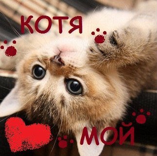 Любовь