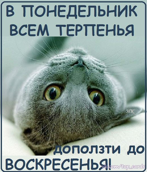 Открытка «Понедельник» №1586