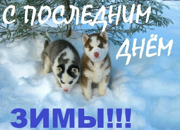 Зима