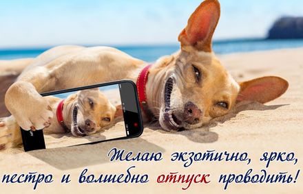 Открытка «Отпуск» №7307