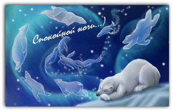 Спокойной ночи