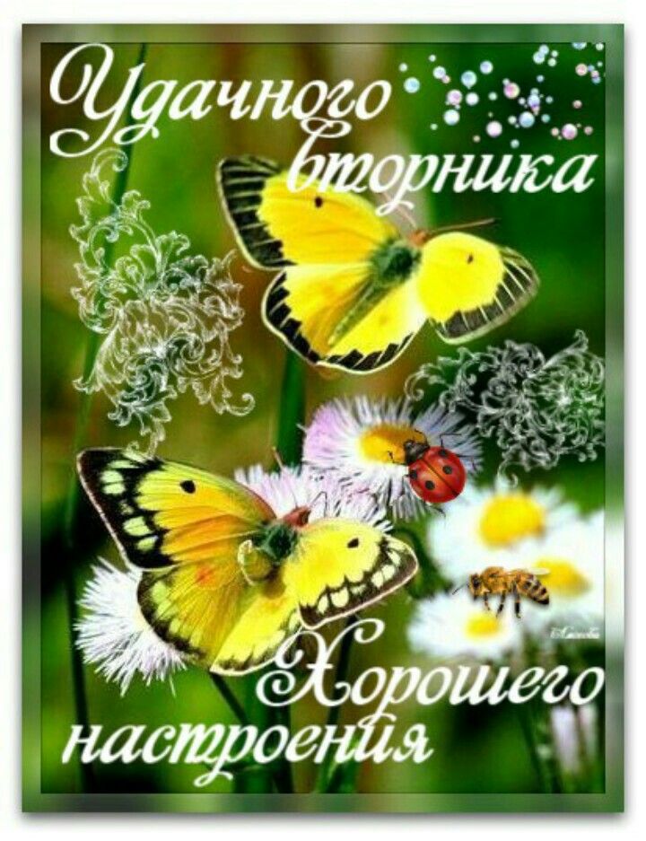 Открытка «Дни недели» №6712