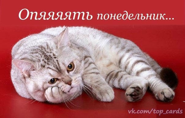 Открытка «Понедельник» №1536