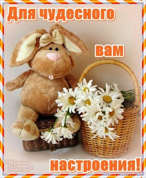 Доброе утро
