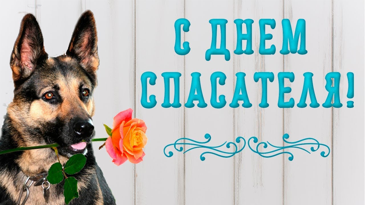 День спасателя