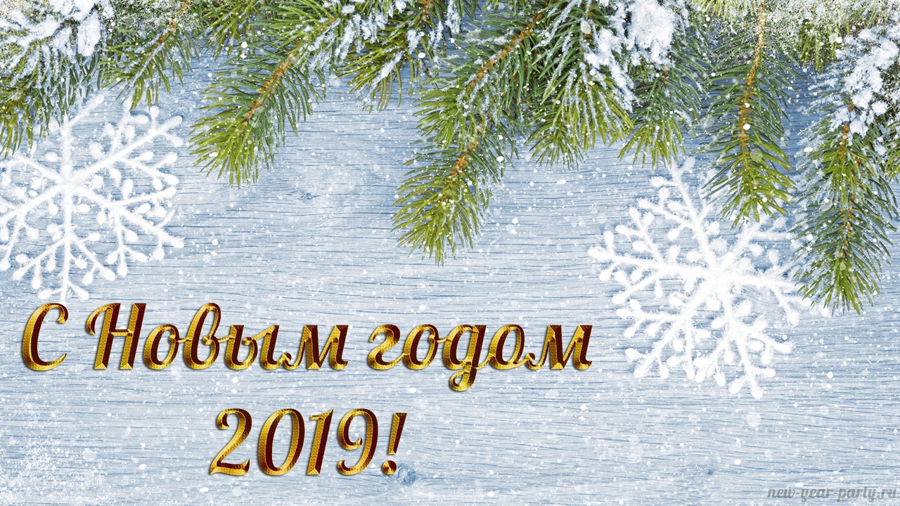 2019