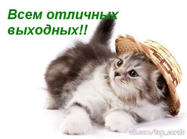 Открытка «Выходные» №1582