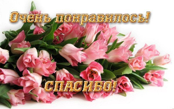 Открытка «Международный день «Спасибо» (International Thank You Day)» №1792