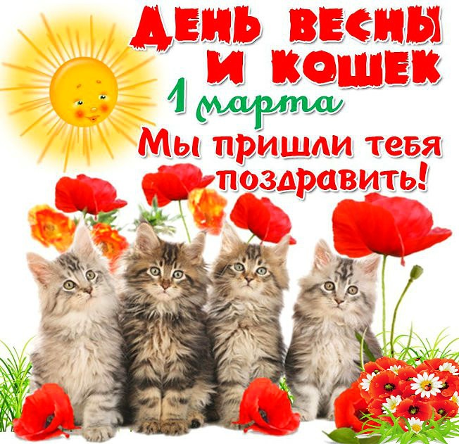 Открытка «День кошек» №6750