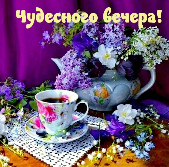 Добрый вечер