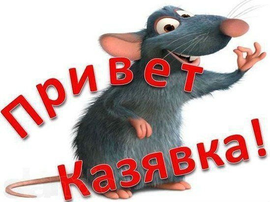 Приколы