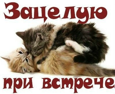 Любовь