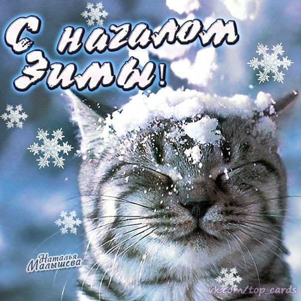 Зима