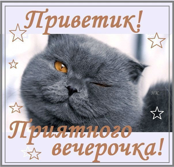 Привет