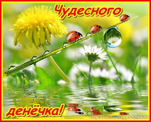 Доброе утро